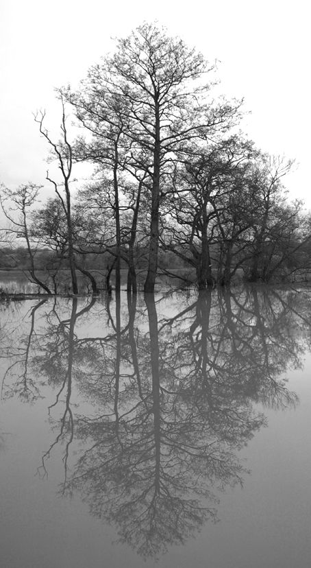River Usk in flood